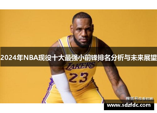 2024年NBA现役十大最强小前锋排名分析与未来展望